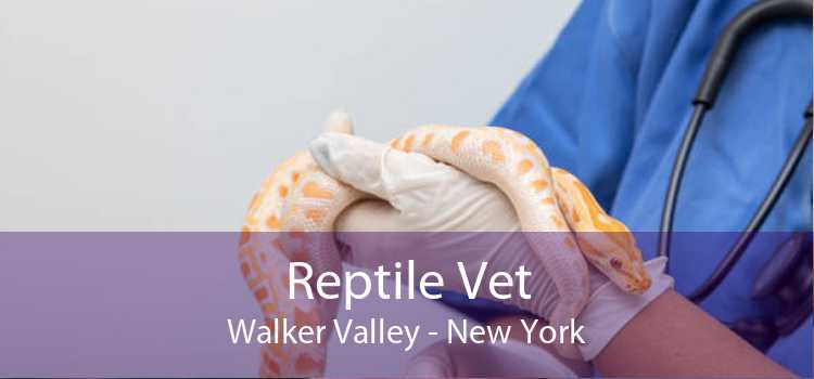 Reptile Vet Walker Valley - New York