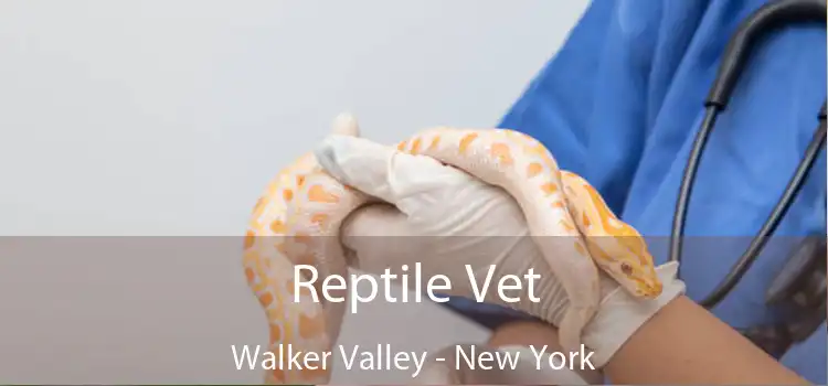 Reptile Vet Walker Valley - New York