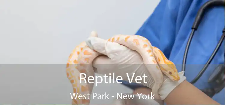 Reptile Vet West Park - New York