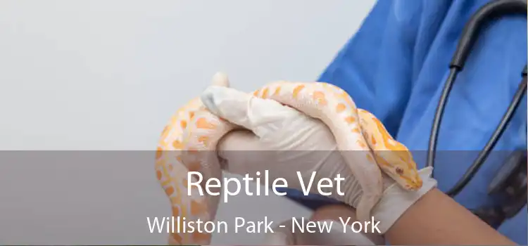 Reptile Vet Williston Park - New York