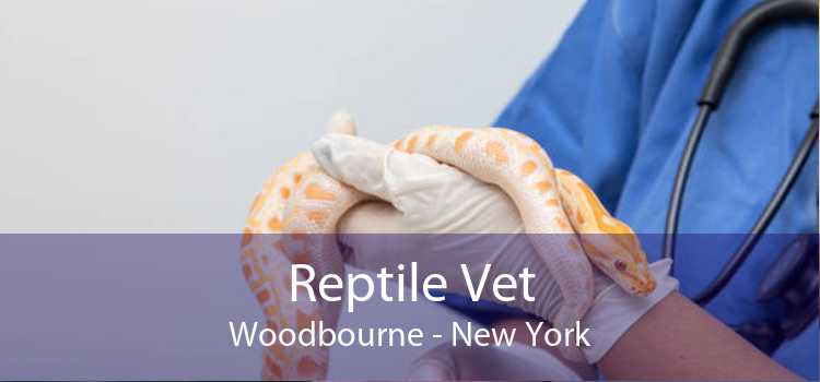 Reptile Vet Woodbourne - New York