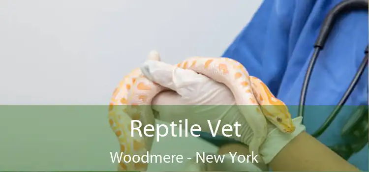 Reptile Vet Woodmere - New York