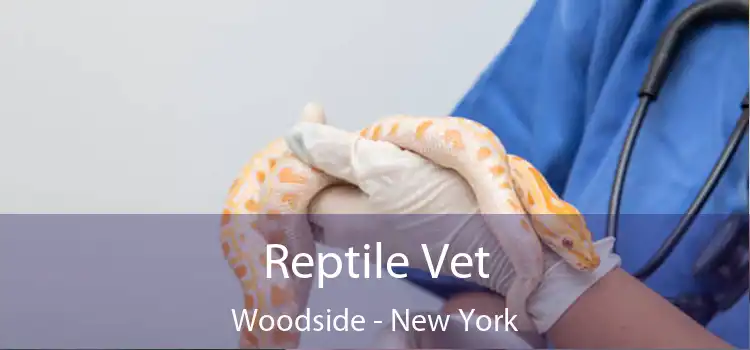 Reptile Vet Woodside - New York