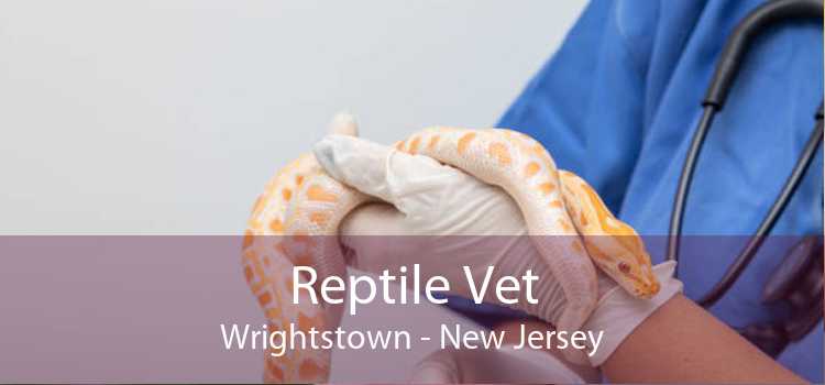 Reptile Vet Wrightstown - New Jersey