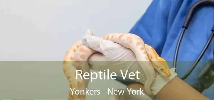 Reptile Vet Yonkers - New York