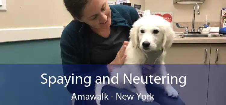 Spaying and Neutering Amawalk - New York