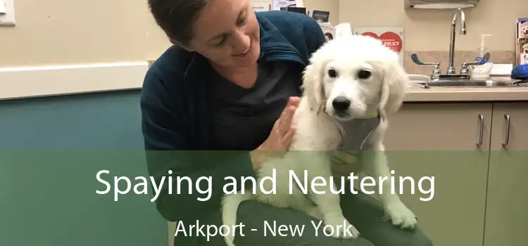 Spaying and Neutering Arkport - New York