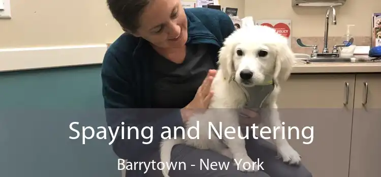 Spaying and Neutering Barrytown - New York