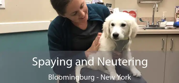 Spaying and Neutering Bloomingburg - New York
