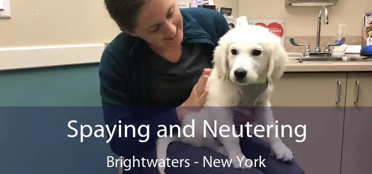 Spaying and Neutering Brightwaters - New York