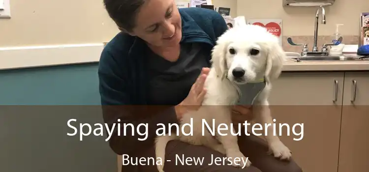 Spaying and Neutering Buena - New Jersey