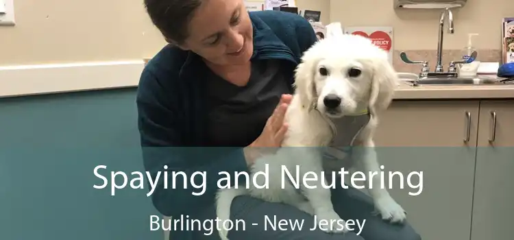 Spaying and Neutering Burlington - New Jersey