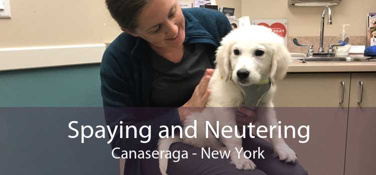 Spaying and Neutering Canaseraga - New York