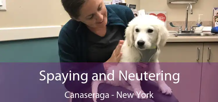Spaying and Neutering Canaseraga - New York
