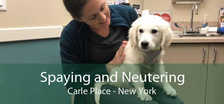 Spaying and Neutering Carle Place - New York