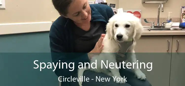Spaying and Neutering Circleville - New York