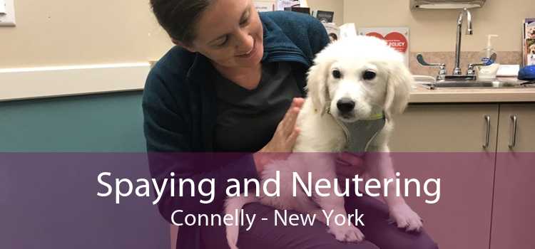 Spaying and Neutering Connelly - New York