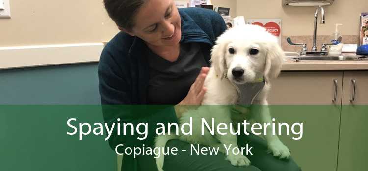 Spaying and Neutering Copiague - New York