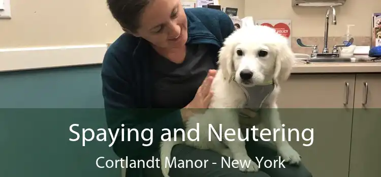 Spaying and Neutering Cortlandt Manor - New York