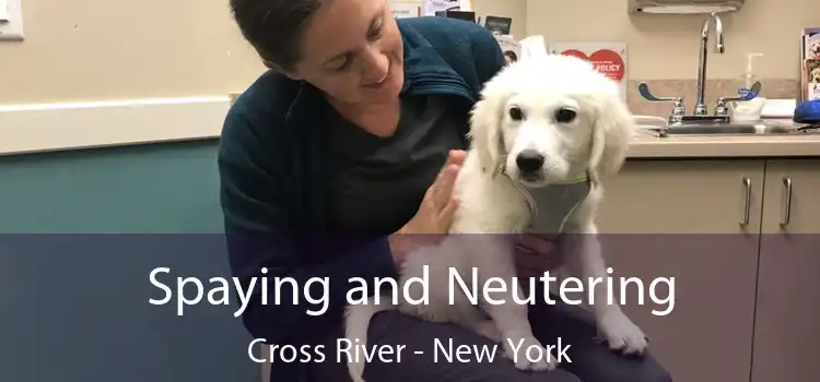 Spaying and Neutering Cross River - New York