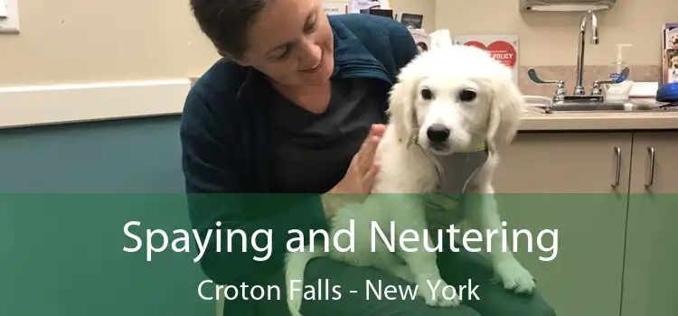 Spaying and Neutering Croton Falls - New York