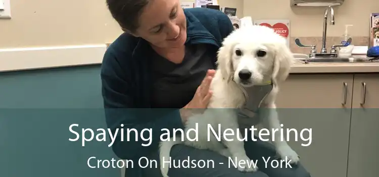 Spaying and Neutering Croton On Hudson - New York