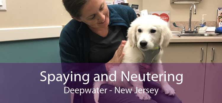 Spaying and Neutering Deepwater - New Jersey