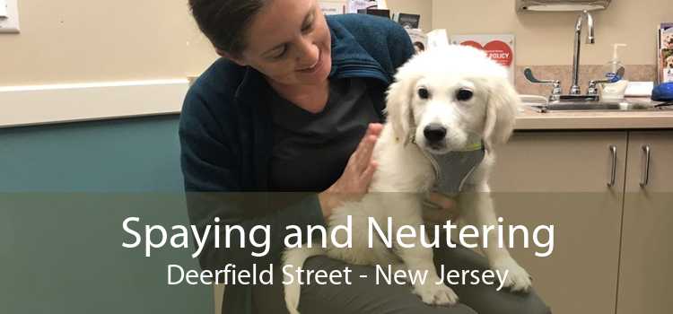 Spaying and Neutering Deerfield Street - New Jersey