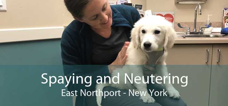 Spaying and Neutering East Northport - New York