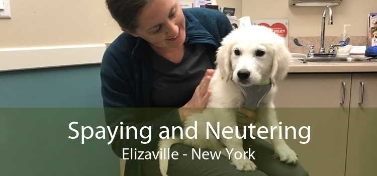 Spaying and Neutering Elizaville - New York