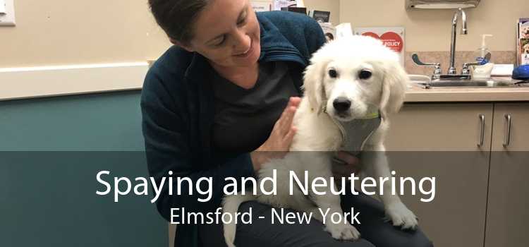 Spaying and Neutering Elmsford - New York
