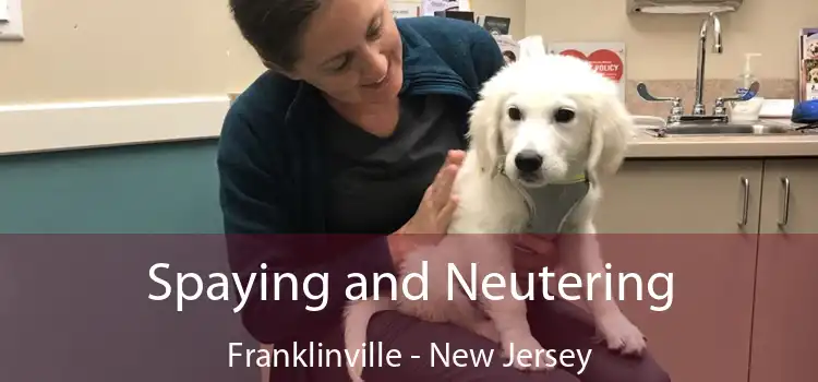 Spaying and Neutering Franklinville - New Jersey