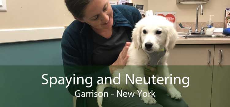 Spaying and Neutering Garrison - New York