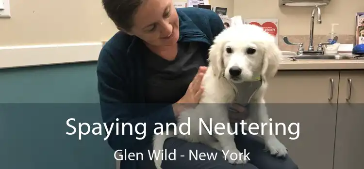 Spaying and Neutering Glen Wild - New York