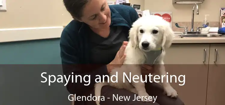 Spaying and Neutering Glendora - New Jersey