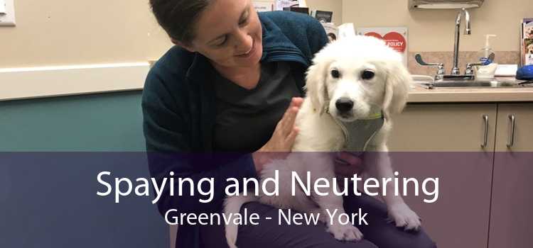 Spaying and Neutering Greenvale - New York