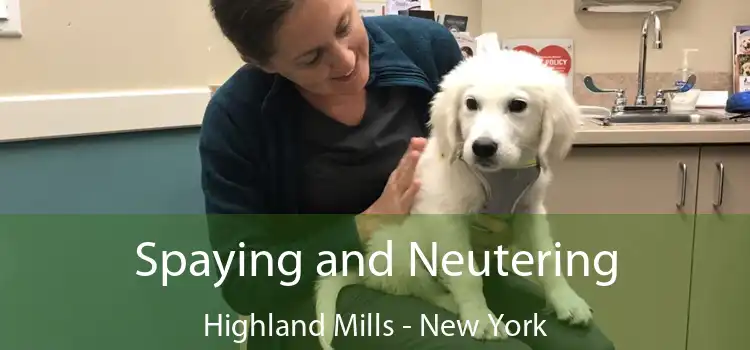 Spaying and Neutering Highland Mills - New York
