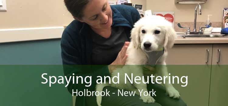 Spaying and Neutering Holbrook - New York