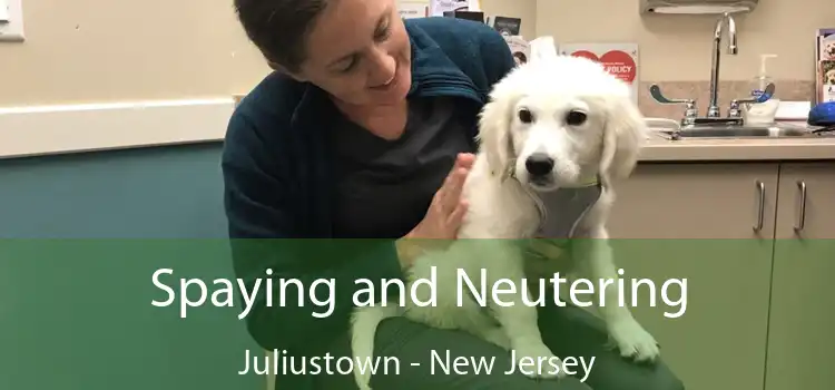 Spaying and Neutering Juliustown - New Jersey