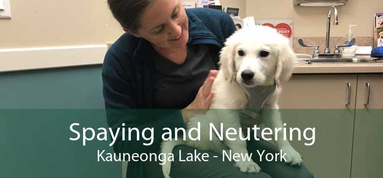 Spaying and Neutering Kauneonga Lake - New York