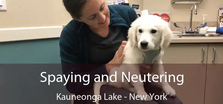 Spaying and Neutering Kauneonga Lake - New York