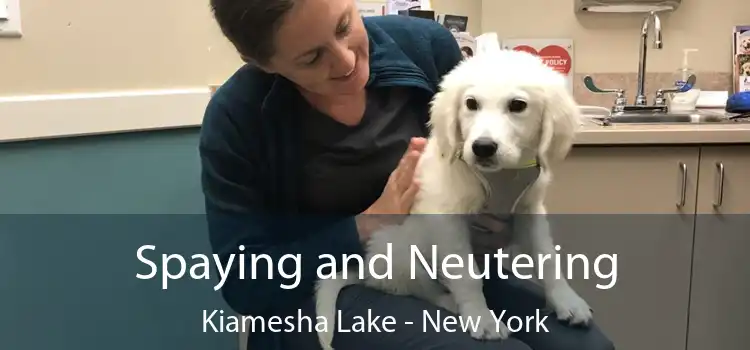 Spaying and Neutering Kiamesha Lake - New York