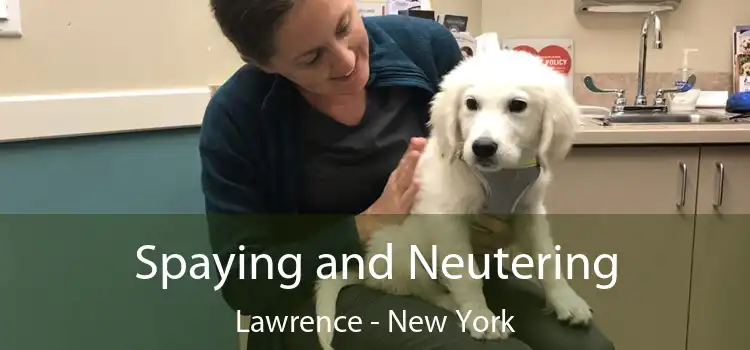 Spaying and Neutering Lawrence - New York