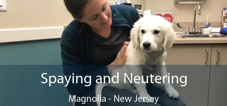 Spaying and Neutering Magnolia - New Jersey