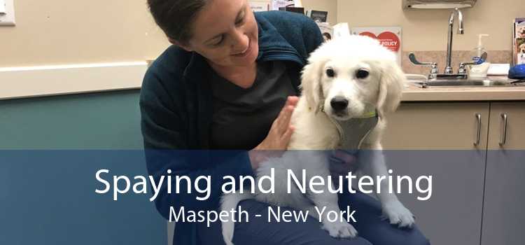 Spaying and Neutering Maspeth - New York