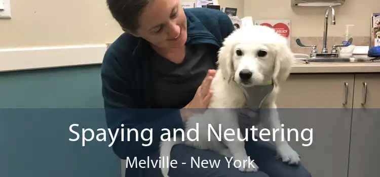 Spaying and Neutering Melville - New York