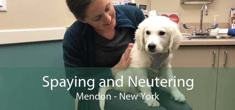 Spaying and Neutering Mendon - New York