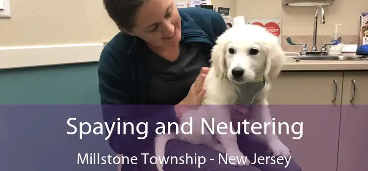 Spaying and Neutering Millstone Township - New Jersey