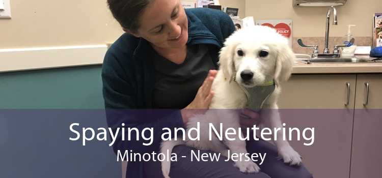 Spaying and Neutering Minotola - New Jersey