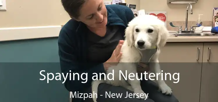 Spaying and Neutering Mizpah - New Jersey